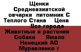 Щенки Среднеазиатской овчарки (питомник С Теплого Стана) › Цена ­ 20 000 - Все города Животные и растения » Собаки   . Ямало-Ненецкий АО,Муравленко г.